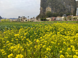 春节天天出发【英西峰林徒步1天】广东十大徒步圣地-赏峰林油菜花开，行摄英西峰林精华段，饱览“广东小桂林”喀斯特奇境