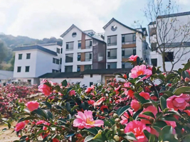 3月08日召集！女队员报名立减10！【广100第一站·阿婆六国际茶花谷徒步节】藏在从化的“莫奈花园”，花海竹林乡村之旅