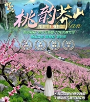 平日&清明【桃韵莽山】桂阳桃花+莽山五指峰云海栈道+九龙水寨+高椅岭+阳山古村+裕后街