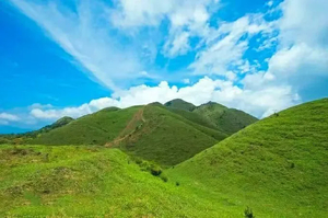特惠298【徒步鸡笼顶 1天1夜】打卡粤西最美大草原，赏千亩高山杜鹃花