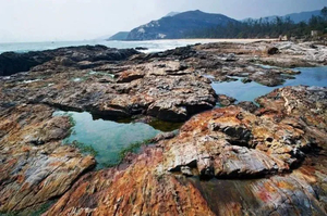 清明/五一/端午【稔平半岛3日游】快艇出海浮潜&划桨板，帆船体验，盐洲岛日落，彩石滩赶海，网红奇观，渔港小镇，出海捕鱼