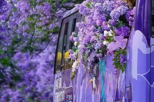 【人间四月天】昆明+西昌双城蓝花楹、双层蓝花楹观光巴士、元谋土林、4A螺髻山景区、网红石板村、九十九里温泉瀑布、七里坝杜