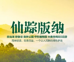 五一/端午：抚仙湖  野象谷 森林公园  中科植物园 大佛寺 三动纯玩5日游