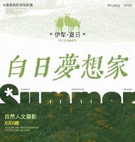 2026 伊犁夏日｜白日梦想家·自然人文摄影6天5晚