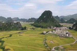 10.25号最美苹塘