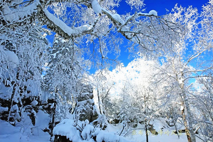东北精华行丨中国雪乡,二浪河风景区,大雪谷穿越,亚布力滑雪,原始虎峰