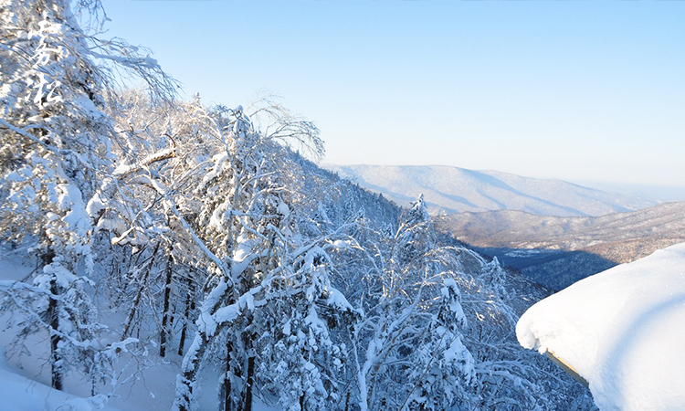 东北精华行丨中国雪乡,二浪河风景区,大雪谷穿越,亚布力滑雪,原始虎峰