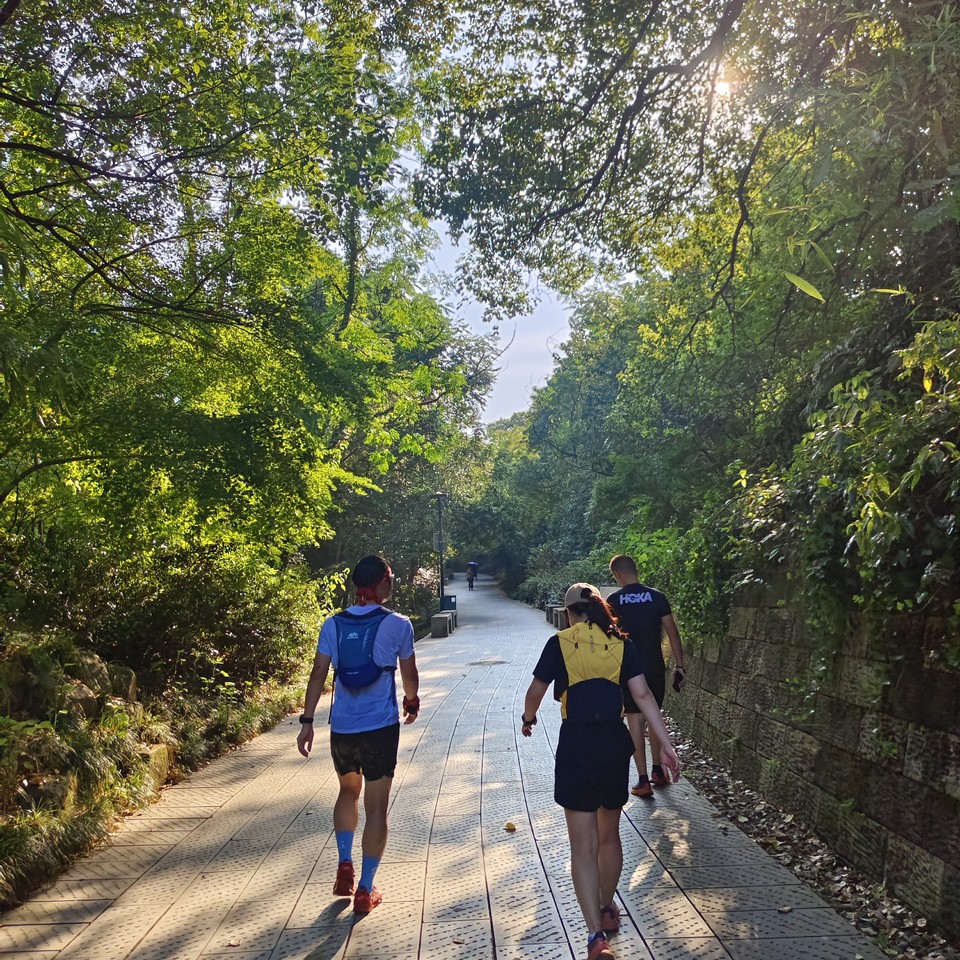 442d86ce044625d5d7a7cc2a337783e8 2