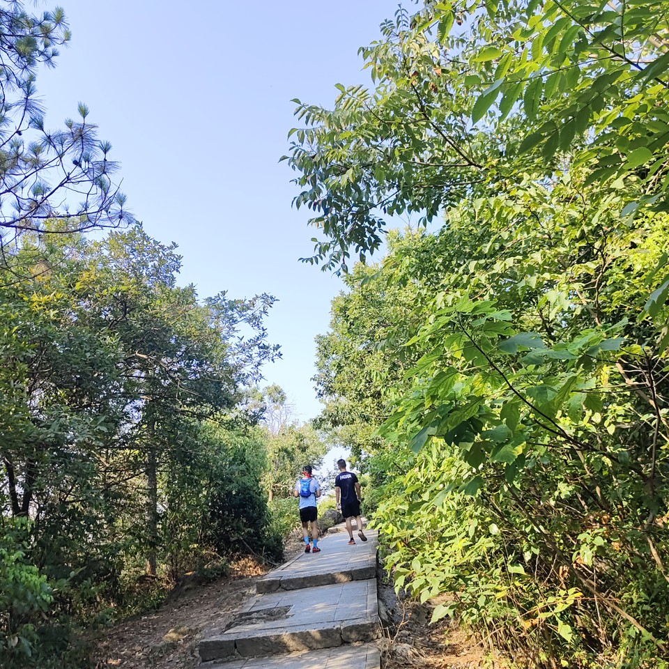 e17063d916d5768807265a6771f1b3b5 2