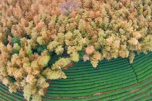 ULTRA-TRAIL® HANGZHOU 2016