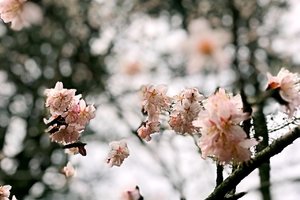 仙涧奇峡探路视频