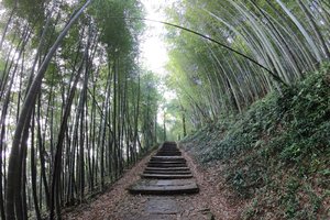 天狼越野|霸王跑