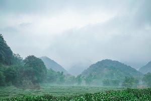 2019杭州100越野赛