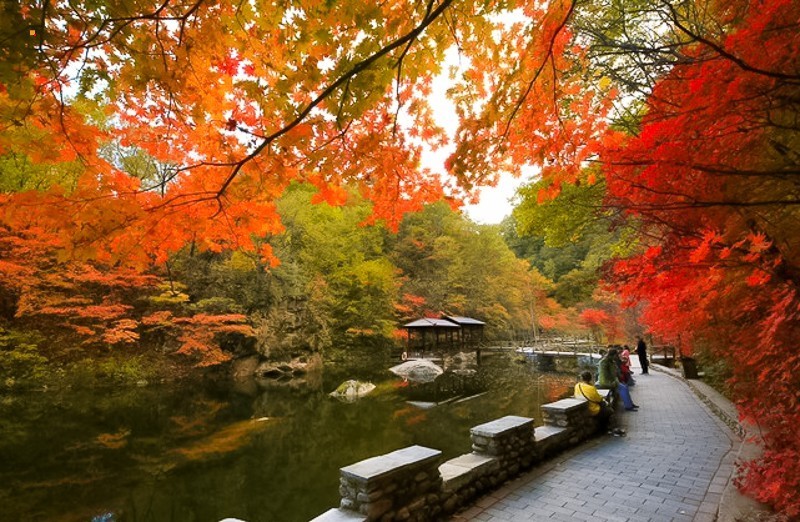 国庆4【本溪红枫】中国枫叶之都の关门山-老边沟-大石湖-枫叶大道-网