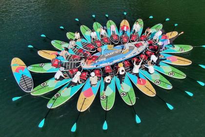 主题团建｜拓展项目：桨板