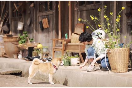 主题团建｜拓展项目：向往的生活