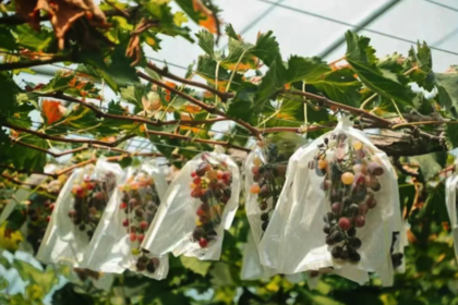 团建活动推荐丨绚烂夏日花样年华 乘风破浪一路畅行