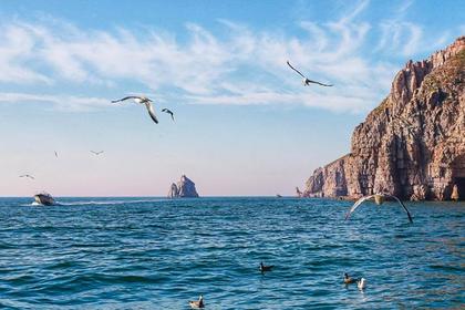 【南戴河扎筏泅渡拓展+渔岛水世界】穿越孤岛 寻求新大陆