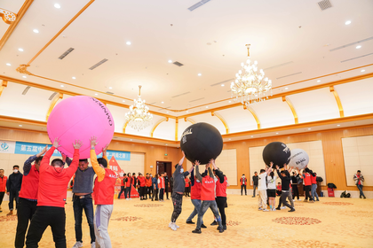 【Kin-Ball】健球主题半日团建