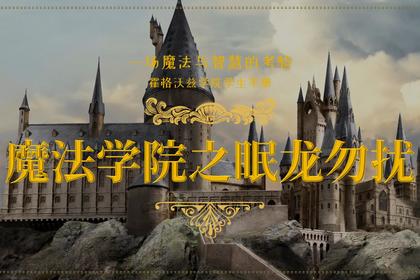 魔法学院之眠龙勿扰