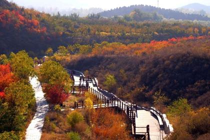 【舞彩浅山定向拓展+火锅】户外探索新型团建