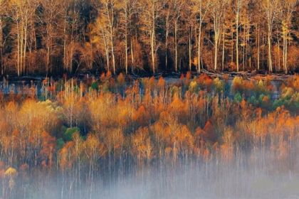 OP团建策划丨秋野计划