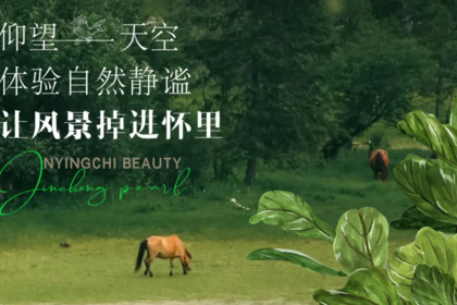 2026年下一站西藏7日6晚之旅