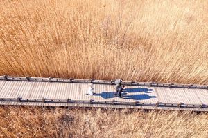 1日｜野鸭湖｜网红打卡拍出芦苇漫天の北京城郊藏着的大西北-永宁古城-柳沟豆腐宴