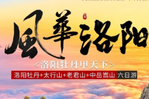 2026 风华洛阳 | 洛阳牡丹 太行山 少林寺 中岳嵩山轻徒步 夜游龙门 老君山 风穴寺 6日行程