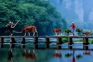 五一4日｜浙南秘境｜小众线路の楠溪江-丽水-雁荡山-云和梯田-古堰画乡-仙都 