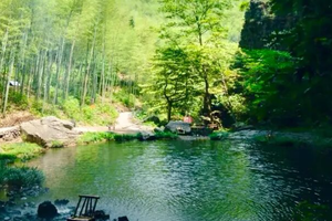 五一3日｜徽杭古道｜西天目山大树王国の浙江版熊野千年古道-浮憩谷-绩溪龙川