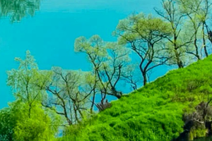 五一4日｜婺源望仙谷•卧龙谷-菊径村-月亮湾-三清山-弋阳龟峰-鹰潭-景德镇-瑶里古镇