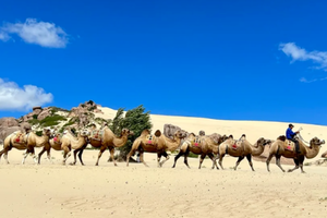 五一4日｜达达线｜华子鱼洄游奇观の玉龙沙湖-石林-达里湖-大青山-山戎部落贡格尔草原