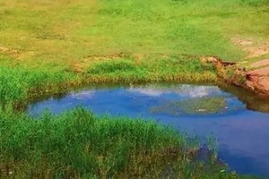 五一3日｜萨拉乌苏•公格沟丹霞地貌の康巴什喷泉夜景-涝利海 