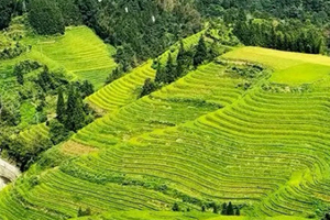 五一4日｜桂林徒步｜漓江徒步-杨堤-兴坪古镇-相公山-大面山-龙脊梯田《国家地理》评出一生必徒之路