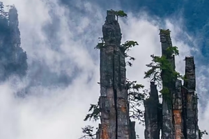 五一4日｜张家界｜湘西秘境の天门山-凤凰古镇-金鞭溪-袁家界-天子山-芙蓉镇-坐龙峡/精品纯玩团
