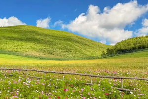 五一2日｜坝上草原•神仙谷七彩森林-闪电湖の草原娱乐场-骑马-篝火晚会-烤全羊