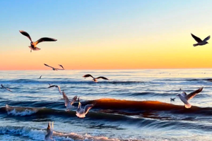 五一2日｜仙螺岛•打卡阿那亚の鸽子窝-碧螺塔-秦皇小巷-海风轻吻的时光秘境 