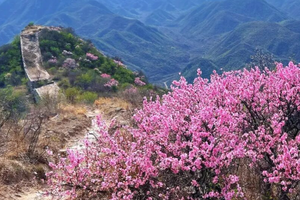 1日｜罗锅*城榆叶梅｜陈家堡-将军楼-鸳鸯楼罕见的“U”形大转弯10公里环线 