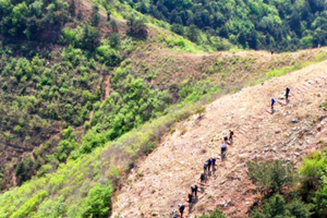 1日｜苦梨峪｜桑树庵の满山遍野梨花绽放-藏在山脊的梨花雪海（初级）