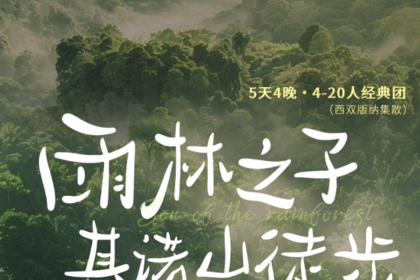 雨林之子·基诺山徒步|5日｜闯入热带季风，成为雨林之子，西双版纳+徒步溯溪+荒野骑行+基诺山+中科院热带植物园