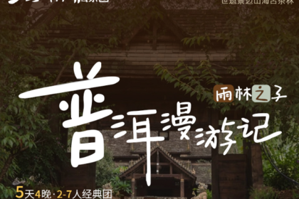 雨林之子·普洱漫游记｜5日｜2-7人|茶&咖啡&牛油果，小众味觉之旅，普洱+孟连+景迈山+老达保+西双版纳