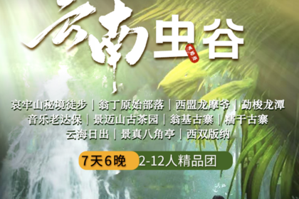 【云南虫谷】哀牢山秘境｜翁丁原始部落｜西盟龙摩爷｜勐梭龙潭｜音乐老达保｜景迈山古茶园｜翁基古寨｜糯干古寨｜云海日出