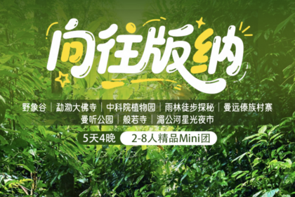 【象往版纳】野象谷｜勐泐大佛寺｜中科院植物园｜雨林徒步探秘｜曼远傣族村寨｜曼听公园｜般若寺｜湄公河星光夜市｜5天精品