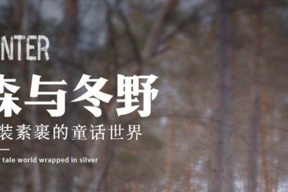 森与冬野|吉林进延吉出6天5晚|吉林-鲁能度假区-长白山-延吉