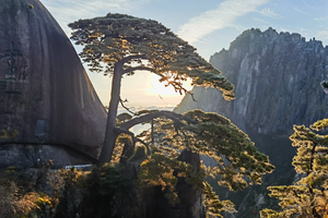 元旦3日｜黄山•大美徽州の宏村-木坑竹海-阳产土楼-屯溪老街（火车）