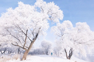 元旦3天｜查干湖冬捕｜传承千年渔猎文化の查干湖冬捕-知北村-雾凇岛-净月潭-冰雪新天地