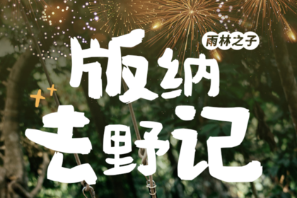 2025西双版纳跨年狂欢！丨5天4晚丨跨年烟花秀/少数民族音乐专场/傣韵迪斯科/哈尼民俗秀/花车巡游