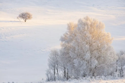 乌兰布统·房车嗨雪｜湖面冬捕-越野车穿越-塞北林海雪原漫步-篝火烟花 2人成团4人/车舒适私家团