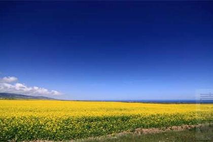 【属于青春的旅行】青海3天2晚旅行团建